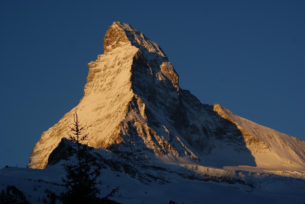Apartament Haus Richemont Zermatt Pokój zdjęcie